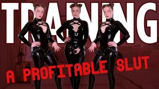 Training a Profitable Slut