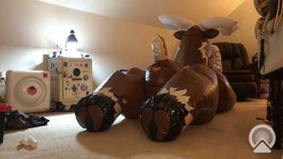 Reindeer inflatable gets laid