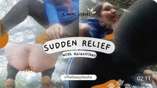 Sudden Relief, Again