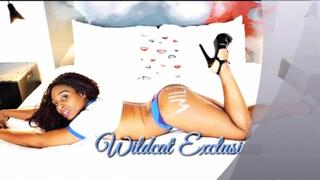 SEXY WILDCAT SHOWER SEX AND FREAK OFFS