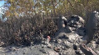 Gooning for Hours in the Stinky Mud - PART 3