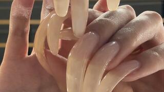 #248 - Close up beautiful long claws