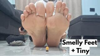 Giante : little man, smell my stinky feet and then smell