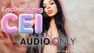 Encouraging CEI - AUDIO ONLY