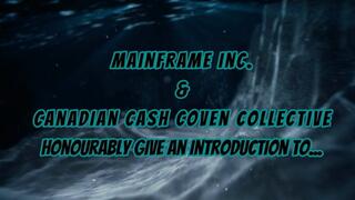 AndrAIa'tine's Day Sneaker Worship