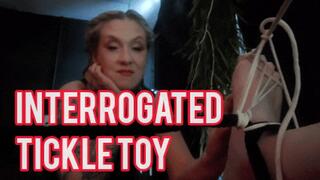 Interrogated Tickle Toy