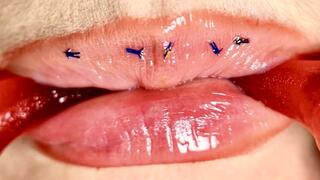 The Secret Tiny Lives on My Lips