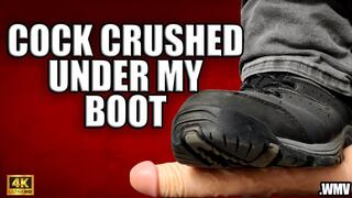 KingMarti: Cock Crushed Under My Boot 4k - WMV