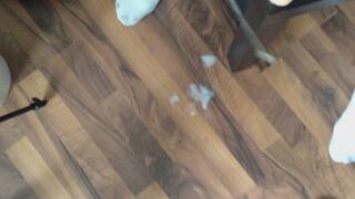 Dildo Tischkanten Fick mit Sahne