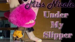 Under My Slipper