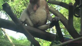 Jamie Marleigh is super happy to go to Singapore with you