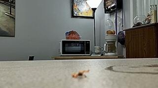 Tiny Mouth Play with Tongue and Uvula Showcase