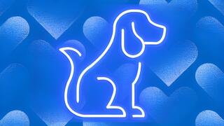 Puppy Obedience Training for Good Boys