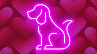 Puppy Obedience Training for Good Girls