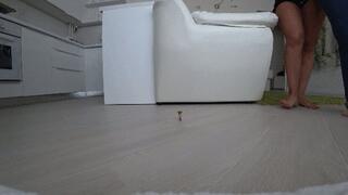 Giants trample a little man a