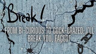 The NLP toolbox: From Bi-Curious to Cock-Crazed - I’ll Break You, Faggot
