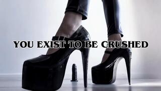 YOU EXIST TO BE CRUSHED