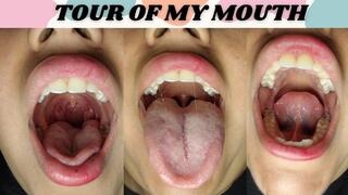 Tour of my mouth