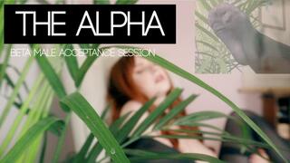 The Alpha: Beta Male Acceptance Session