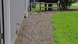 Hard Working Sexy GILF