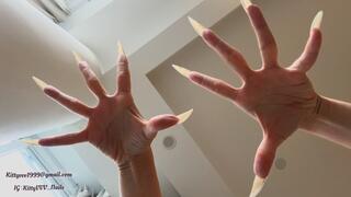 Top-Down Nail show with my sexy natural claws