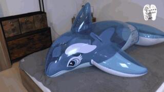 Inflatable Dolphin under Jeans Ass