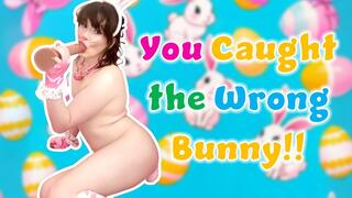 You Caught the Wrong Bunny