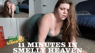 11 Minutes In Smelly Heaven
