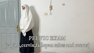 HIJAB WOMAN PELVIC EXAM: vagina cervix fallopan tubes and uterus