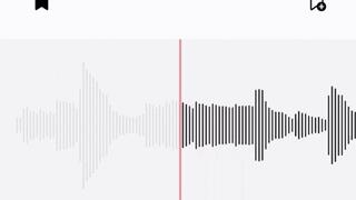 LACTOSE BELLY GURGLES AUDIO ASMR