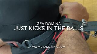 GEA DOMINA - JUST KICKS IN THE BALLS (MOBILE)