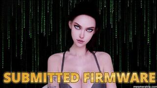 SUBMITTED FIRMWARE