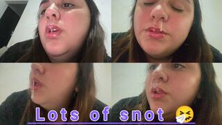 Lots of mucus + stuffy nose