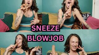 Sneezing dildo blowjob