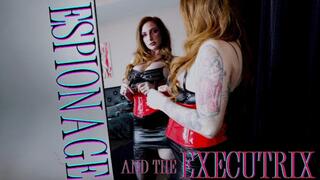 Espionage and the Executrix (WMV 1080p)