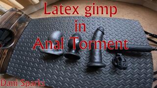 Heavy Anal Torment training (Part 1 warm up)