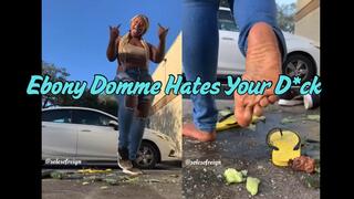 Ebony Domme Hates Your Dick