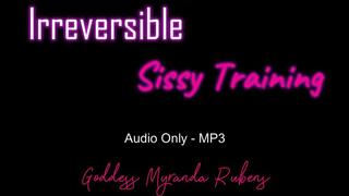 Irreversible Sissy Training - Audio Only MP3