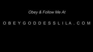 Findom Without Receipts