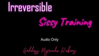 Irreversible Sissy Training - Audio Only MP4