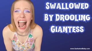 Giantess Mouth Drools, Teases, and Licks Tiny from Two Perspectives