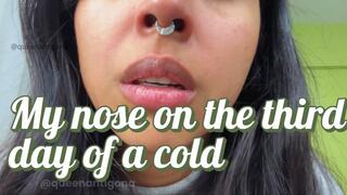 My nose on the third day of a cold