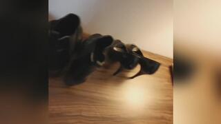 Doctor cherri ballbusting