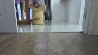 Huge size 18 feet walking