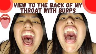 View to the back of my throat with burps