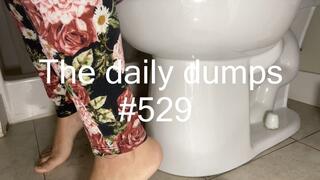 The daily dumps #529 mp4