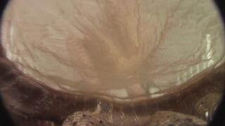 Tan Stockings, Heels & Nylon Soles