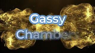 Gassy Chambers *wmv*