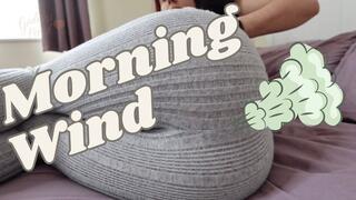 Morning Wind