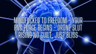 The NLP toolbox: Mindfucked to Freedom - Your PNC Purge Begins - Drone Slut Rising No Guilt, Just Bliss